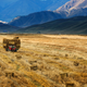 More than 40% of China’s arable farmland is degraded, according to state news agency Xinhua.